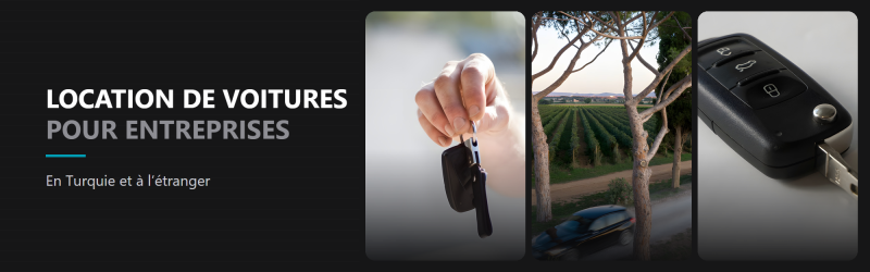Location de voitures pour entreprises